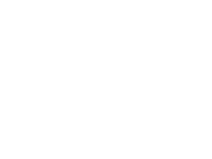 ALX HUNGARY
